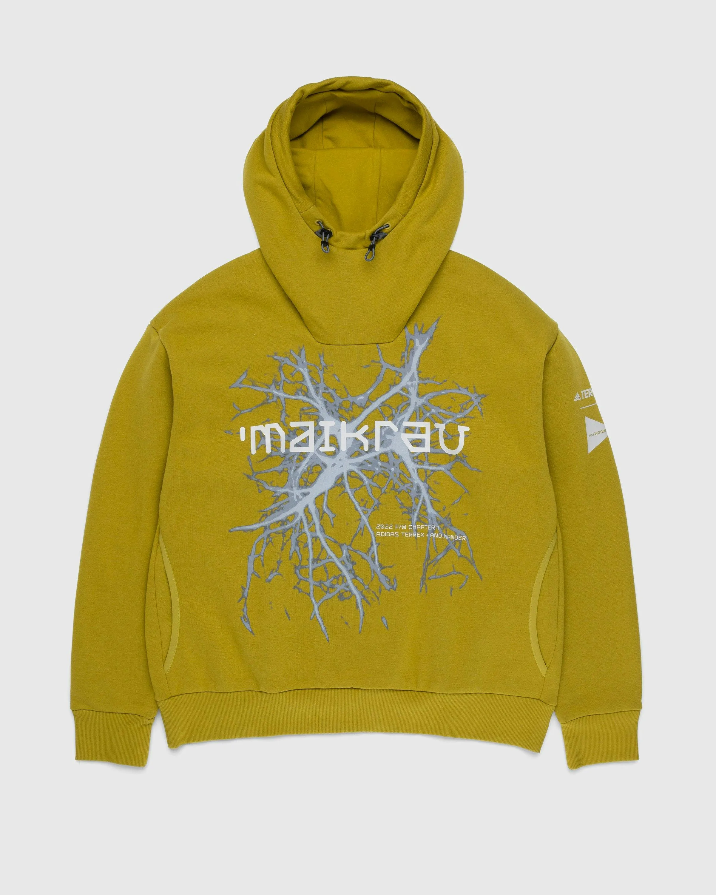 Adidas x And Wander – TERREX Graphic Hoodie Green | Highsnobiety Shop