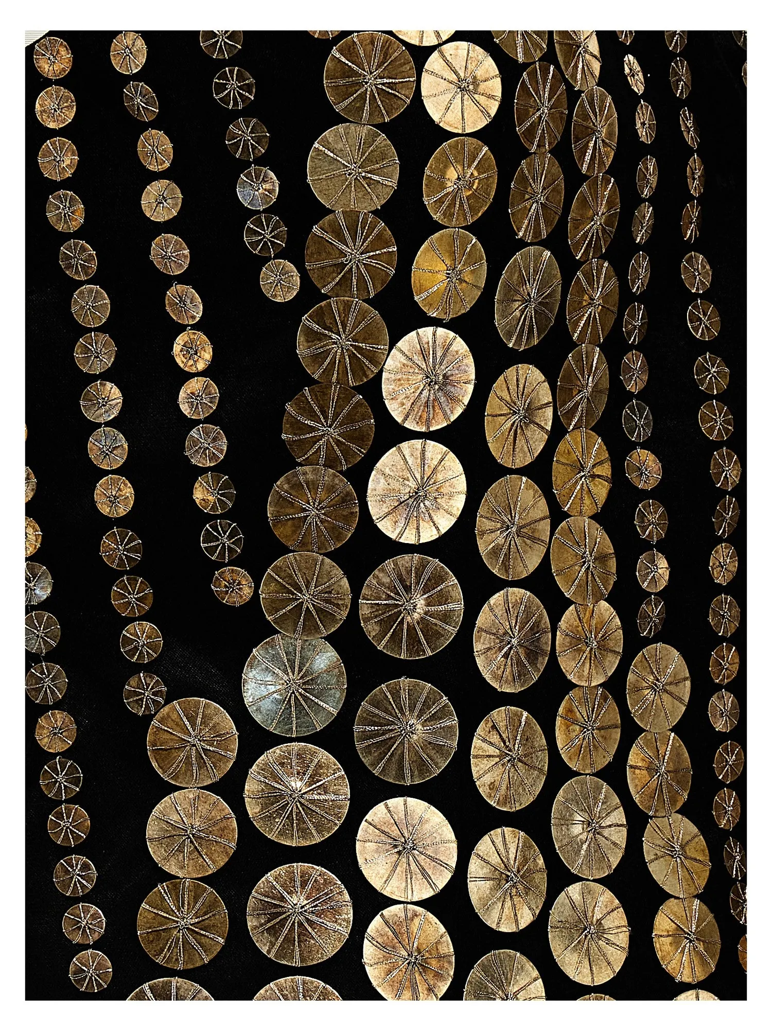 Alberta Ferretti    Alberta Ferretti Sequin Vest