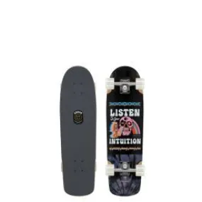 Arbor Cruiser Artist Pilsner Complete Skateboard - 28.75"
