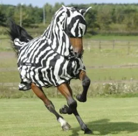 Bucas Buzz Off Zebra Fly Sheet Full Neck