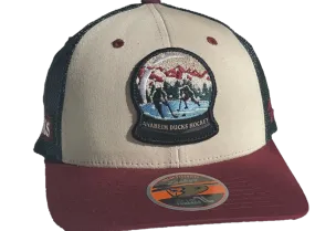 Ducks Hockey Snowglobe Cap