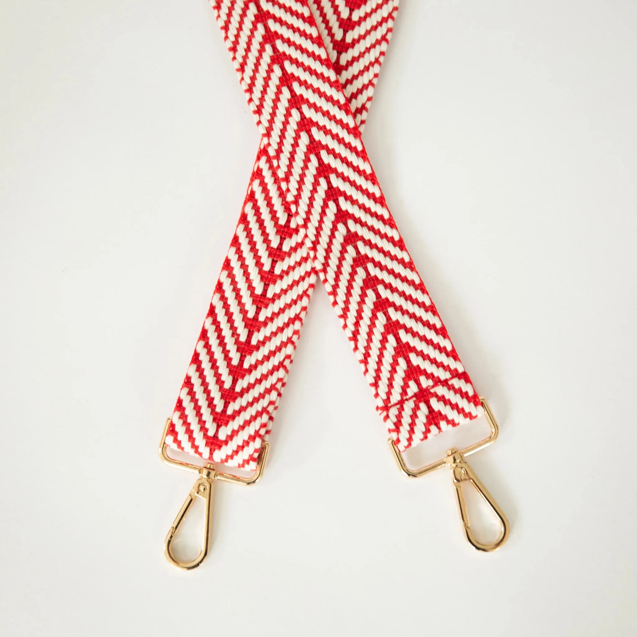 Guitar Style Bag and Camera Strap- Red & White