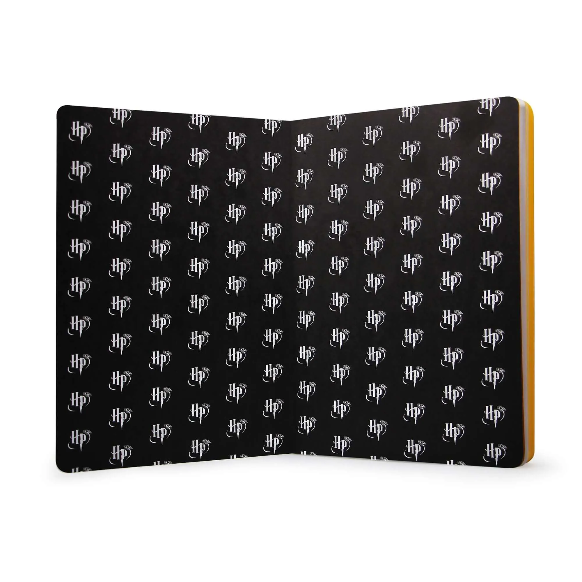 Harry Potter A5 Notebook (Flex) (Platform 9 3/4)