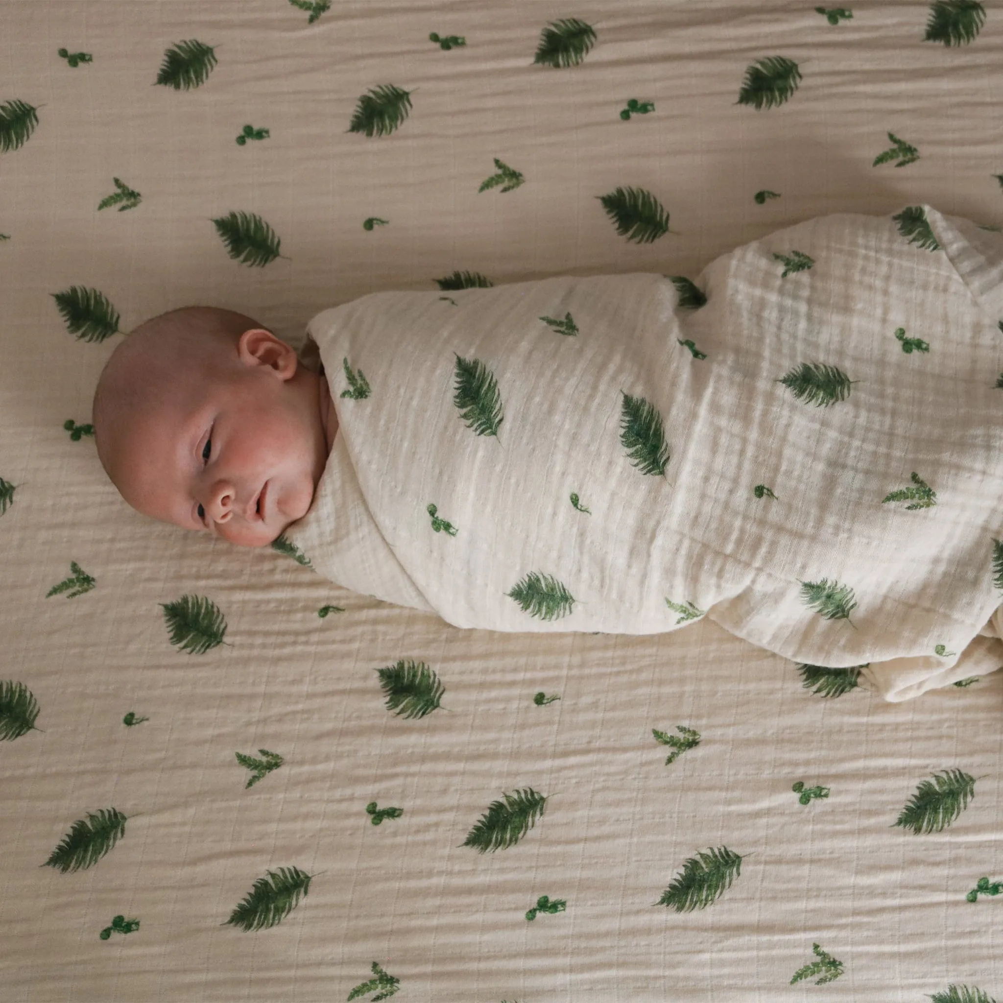 House of Elia Baby Crib Fitted Sheet - Fern  - Clement