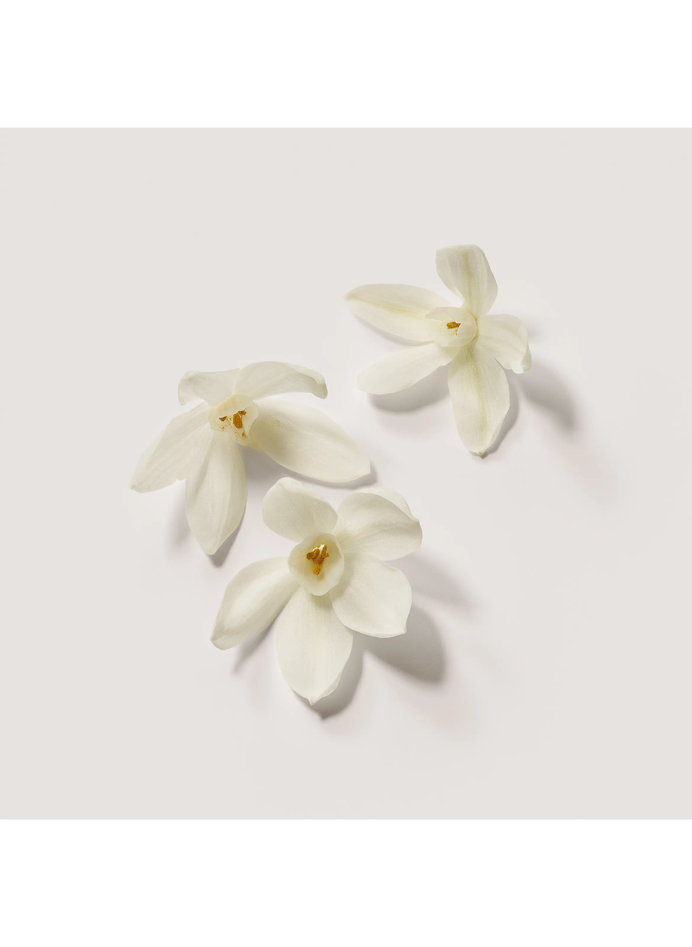 Laura mercier  Hand cream - Néroli du Sud
