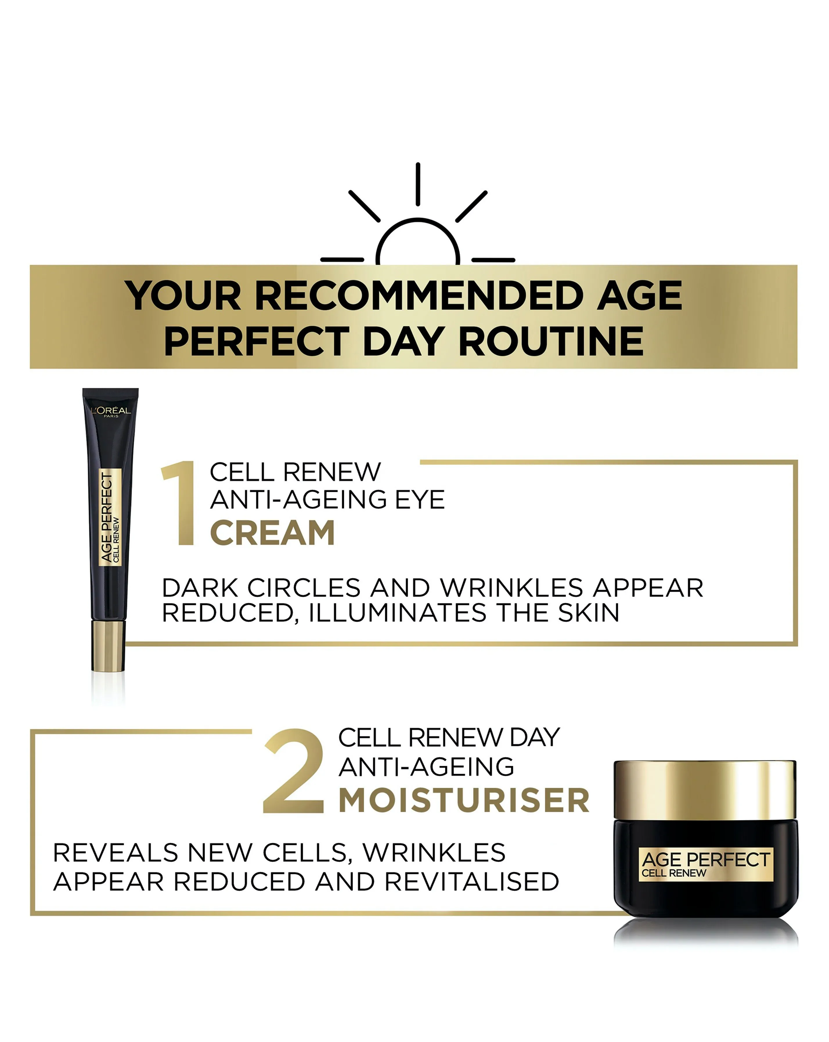 L'Oreal Paris Cell Renew Day Cream 50ml | Simply Be
