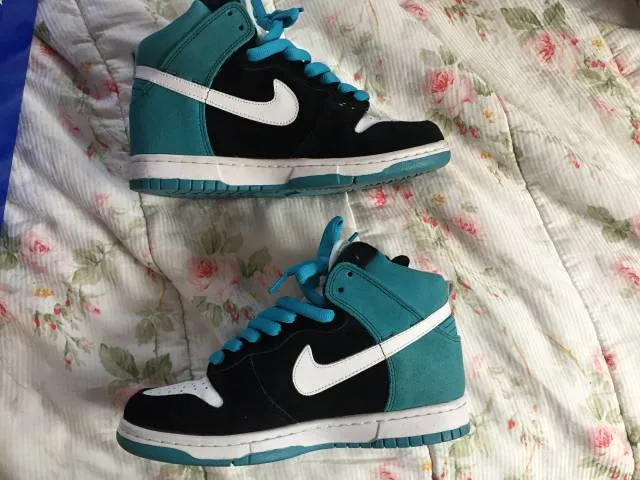 Nike dunk high premium sb send help