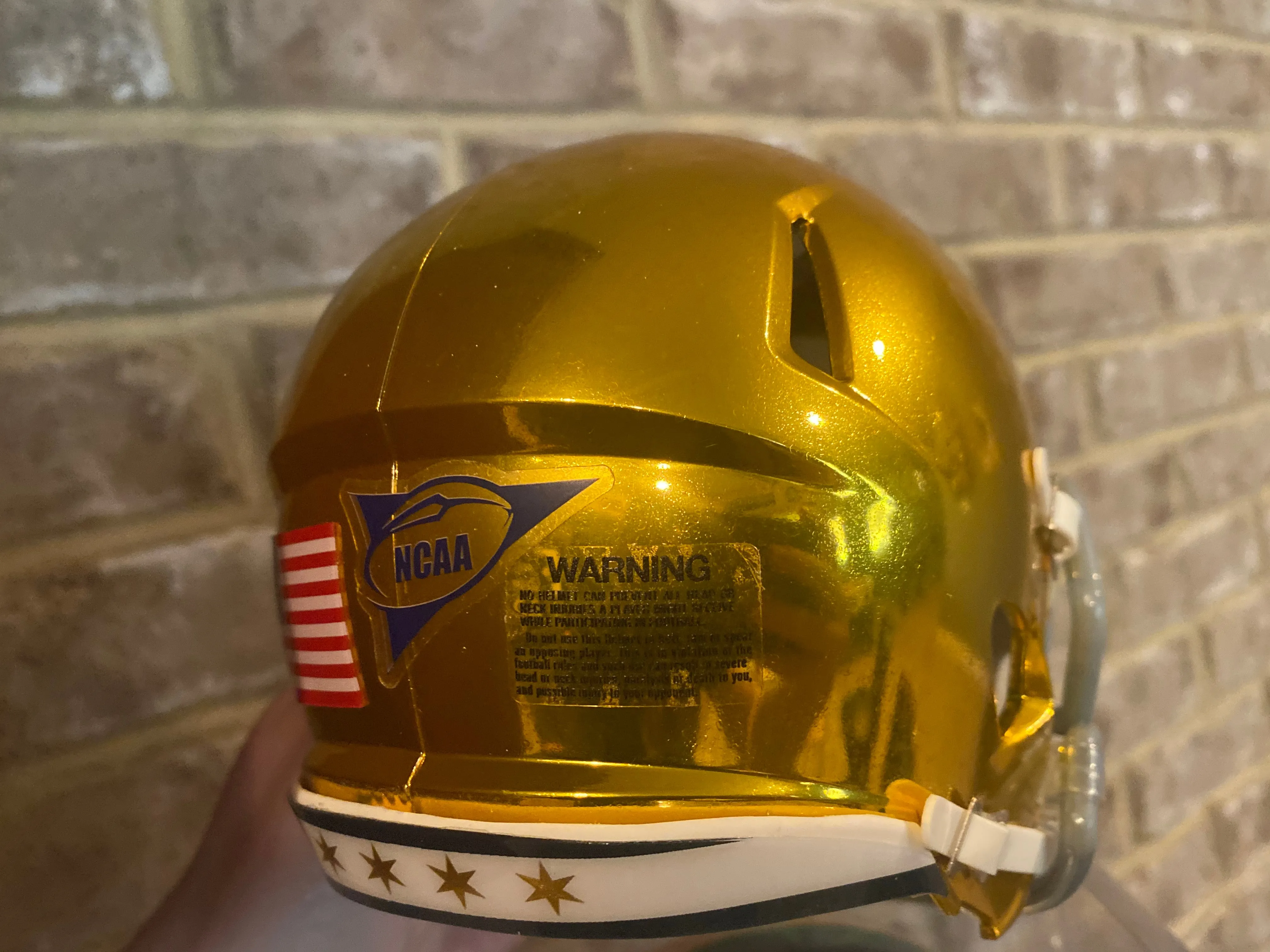 Notre Dame 2021 Shamrock Series Chicago HYDROFX Riddell Speed Mini Helmet