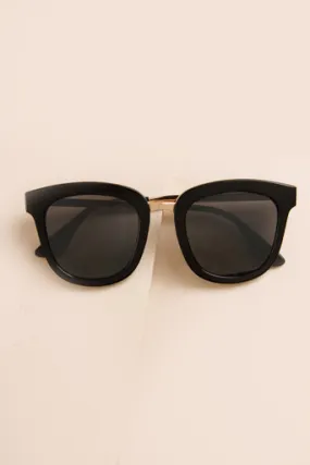 Paige Wayfair Sunglasses