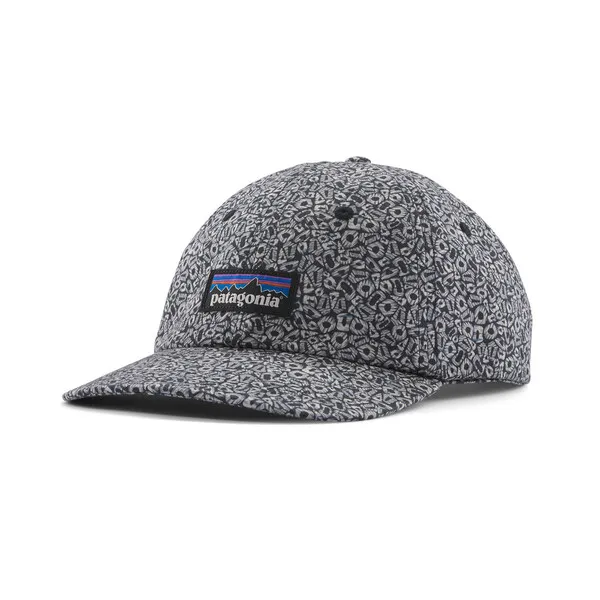 Patagonia P-6 Label Trad Cap