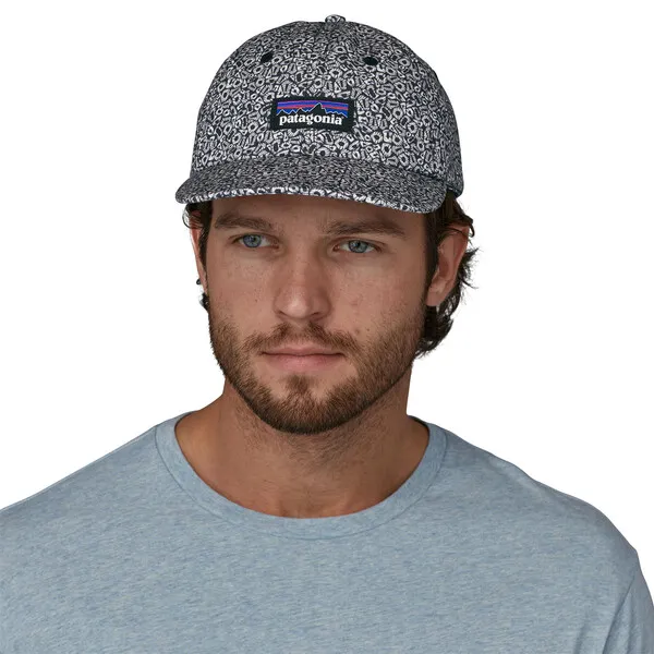 Patagonia P-6 Label Trad Cap