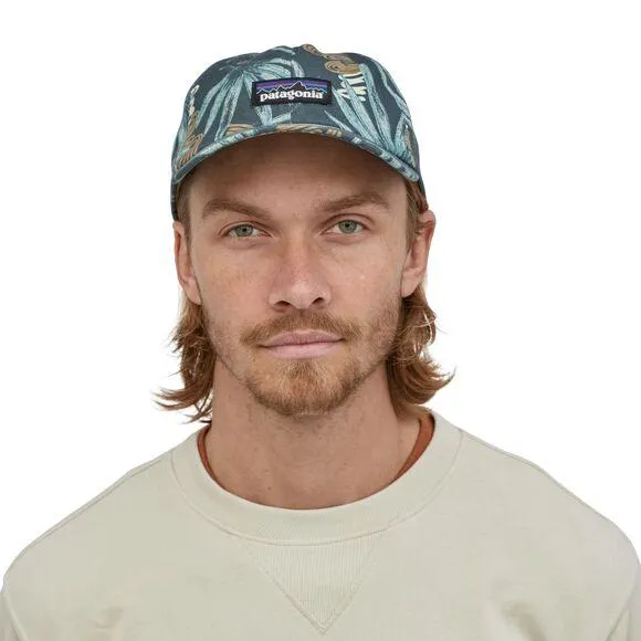 Patagonia P-6 Label Trad Cap