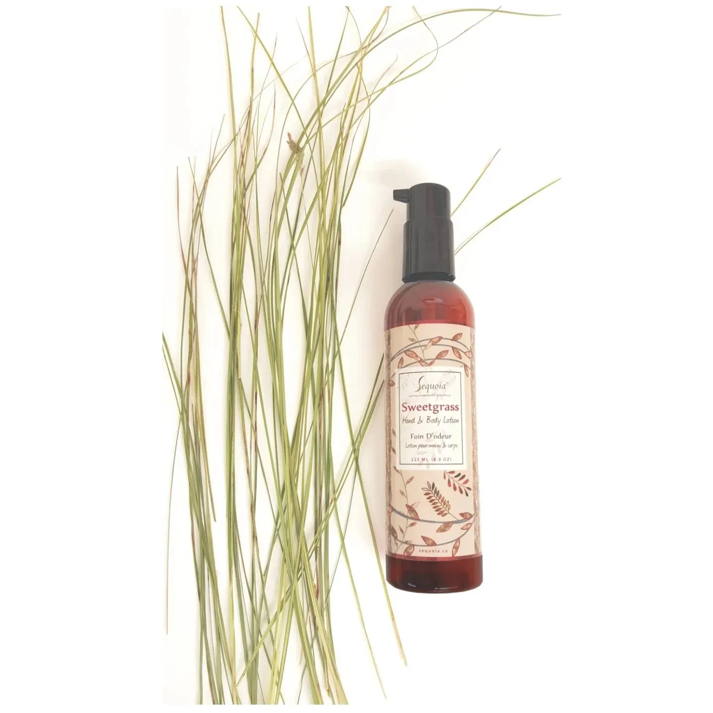 Sweetgrass Hand and Body Lotion