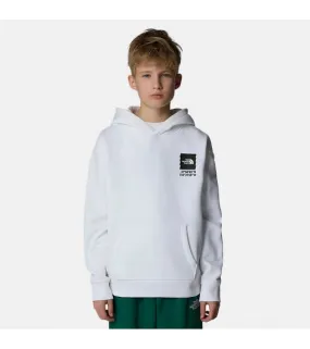 The North Face Coordinates Kids Sweatshirt NF0A89HKFN41