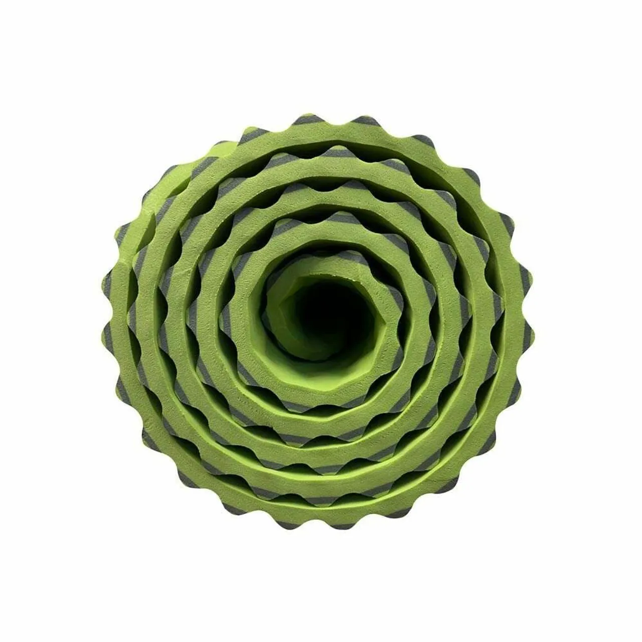 TwisterCane Bio Foam Regular Sleeping Mat