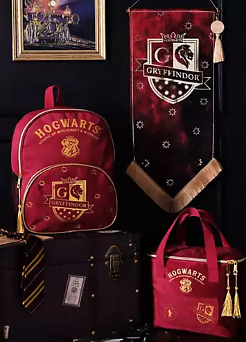 Warner Bros Harry Potter Alumni Backpack Gryffindor | Kaleidoscope