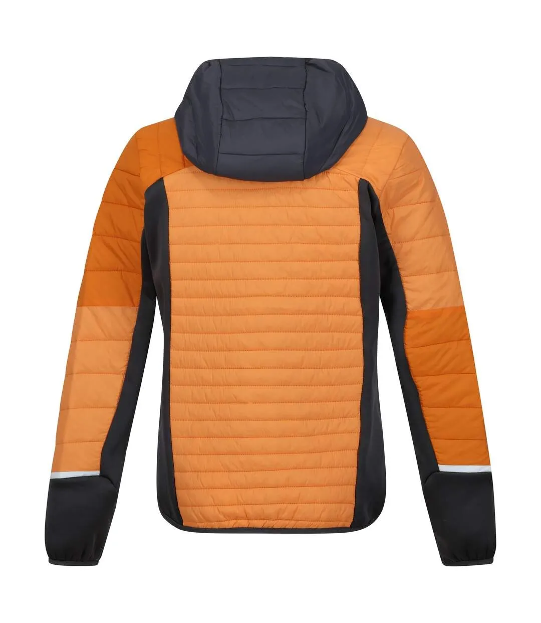 Womens/ladies trutton ii baffled hooded jacket apricot crush/seal grey Regatta